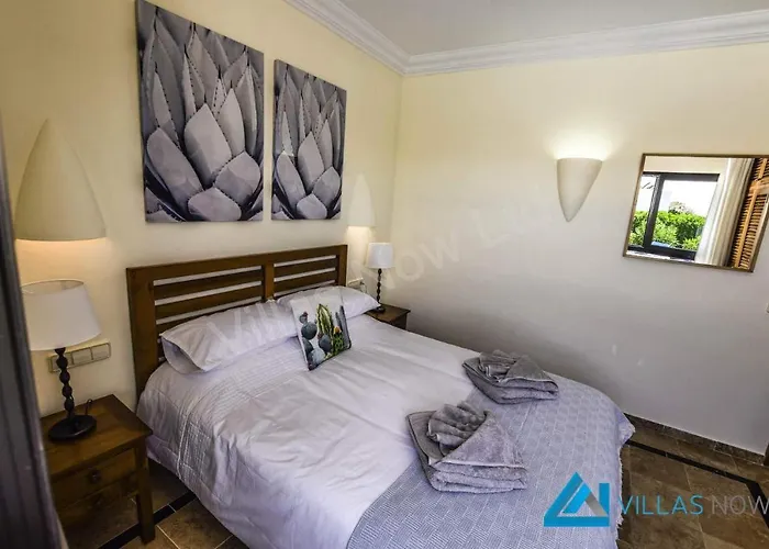 Henry - Lh187 By Now Ltd プラヤ・ブランカ